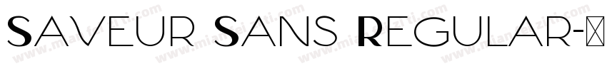 Saveur Sans Regular字体转换